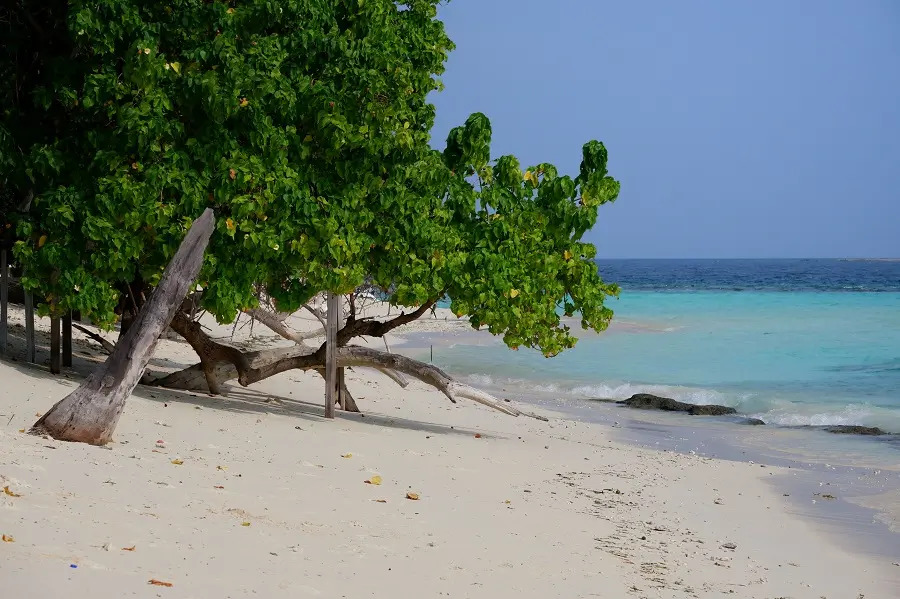 Thulusdhoo