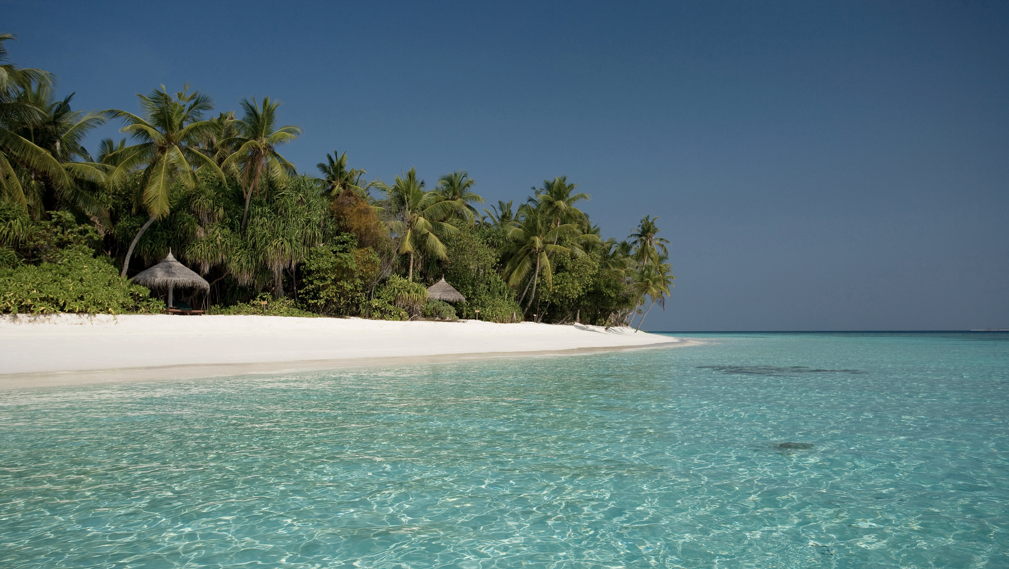Coco Palm Dhuni Kolhu